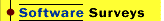 ORMS Software Surveys